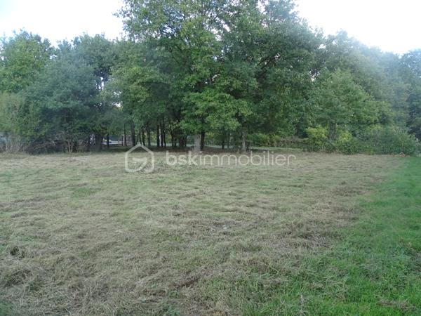 Terrain commercial de 1 140 m²