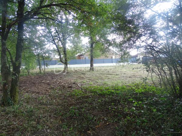 Terrain commercial de 1 140 m²