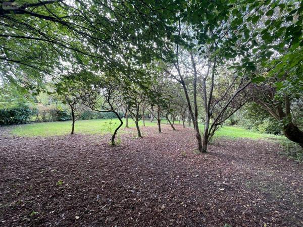 Maison à vendre à Pré-en-Pail-Saint-Samson en Mayenne (53140), ref : 560