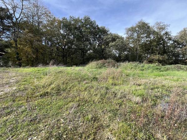 Terrain à vendre |  Pujaudran |  1593 m²