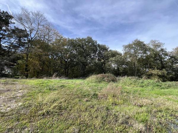 Terrain à vendre |  Pujaudran |  1593 m²