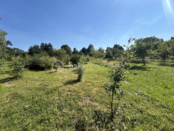 VENTE INTERACTIVE ! Venez visiter !
A 15 mn d'Agen sud environ, sur une parcelle d'1,2 ha en vue dominante, au calme, vous disposez d'une belle propriété en pierres composée d'une partie habitation principale avec son pigeonnier, d'un loft, et d'un grand garage, le tout sur un terrain arboré avec de nombreux fruitiers.
Passé le portail, la maison au cachet indéniable vous ouvre ses portes et le charme opère : un superbe couloir dessert une magnifique salle à manger lumineuse avec cheminée et de très belles hauteurs de plafond, un salon avec cheminée fonctionnelle donnant sur une grande cuisine de 55 M2 ouverte sur des terrasses avec la piscine extérieure qui surplombe et son espace "cuisine d'été".
Au rez-de-chaussée toujours,  3 grandes chambres aux très beaux volumes dont deux avec salles d'eau, grand dressing.
A l'étage, une grande pièce de type "dortoir" (2 chambres possibles) et salle d'eau.
Attenant à l'habitation, vous disposez d'un loft (100 m2 en sus de la surface habitable en plus) avec cuisine et salle d'eau et grande pièce de vie avec une magnifique verrière, permettant une habitation supplémentaire.
Grande dépendance faisant office de garages. 
Poele à pellets récent, chauffe eau par panneaux solaires, menuiseries double vitrage, isolation des combles sont autant d'atouts pour assurer un bon résultat énergétique. 
Taxe foncière : 1400 euros.
Envie de cachet, de calme ? Appelez moi vite pour une visite !