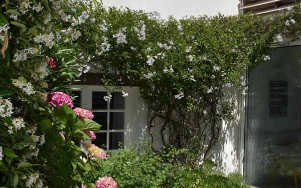 Maison à vendre    5 pièces •  Ars-en-Ré