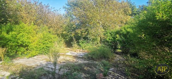 Vente terrain Lanton : 176 000 € - AJP Immobilier Andernos les Bains