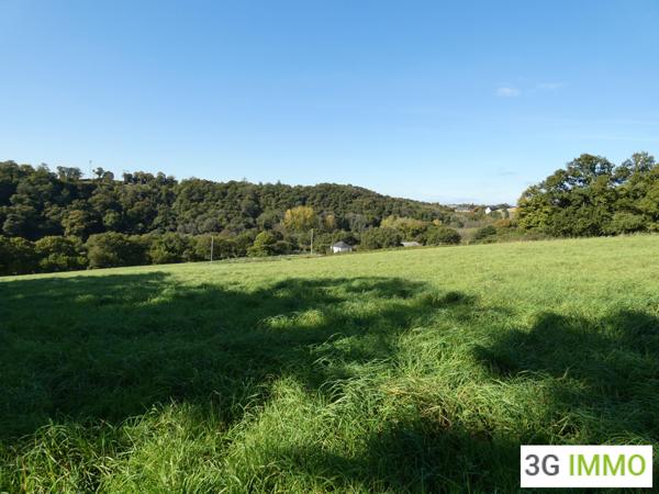 Vente / Maison et grand terrain