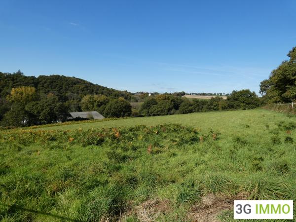 Vente / Maison et grand terrain