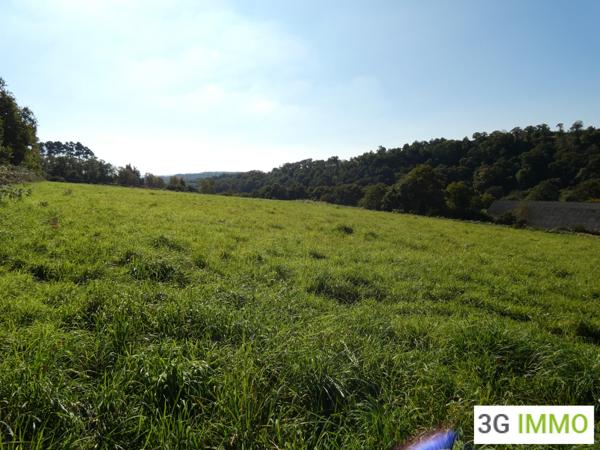 Vente / Maison et grand terrain