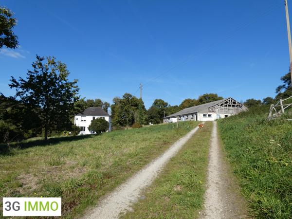 Vente / Maison et grand terrain