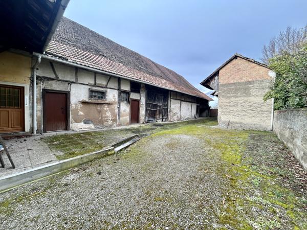 Biesheim (68600) Terrain 14,90A viabilisé, Biesheim