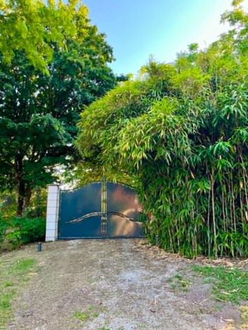 Maison et gîte indépendant 253 m2