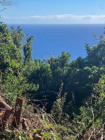 Terrain à Batir à vendre à Saint-Denis à la Réunion (97400), ref : DAL   
Vigie