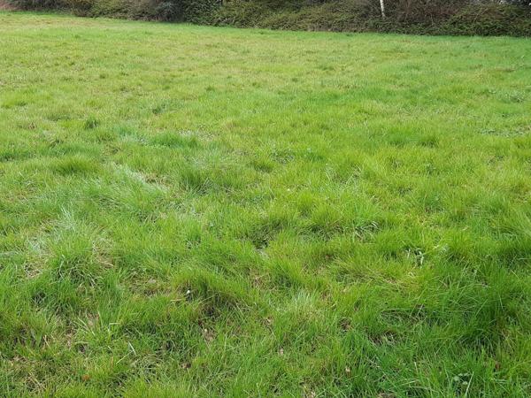 Terrain à VANNES, 56000 - 330m²