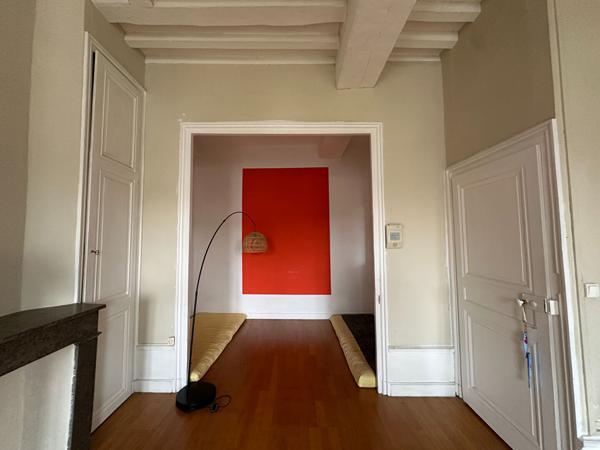 Appartement Villeurbanne - Quartier Maisons Neuves - Charme de l'ancien, Traversant et Faibles charges