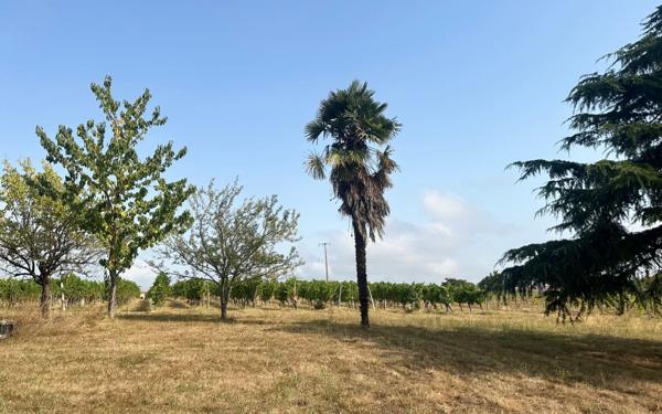 Maison à vendre    5 pièces •  Nogaro