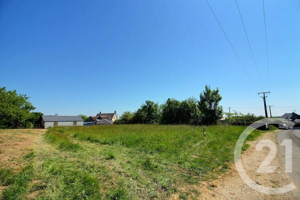 Terrain à vendre  1350 m2 DANZE - 41