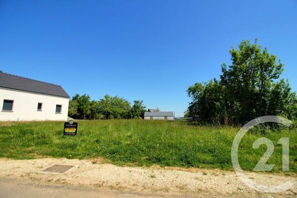 Terrain à vendre  1350 m2 DANZE - 41
