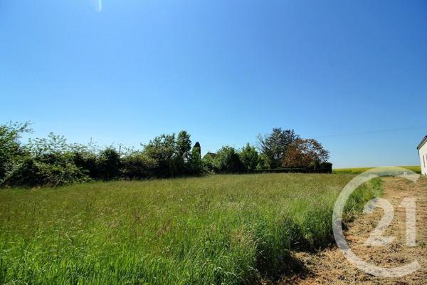 Terrain à vendre  1350 m2 DANZE - 41