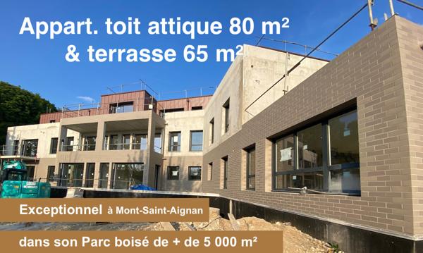 Mont-Saint-Aignan (76130) Exceptionnel, en toit attique vue panoramique Rouen & Fond du Val