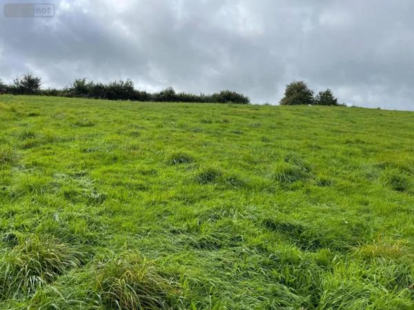 Achat - Terrain de loisirs, bois, étangs Reffuveille 50520 18240 m 2