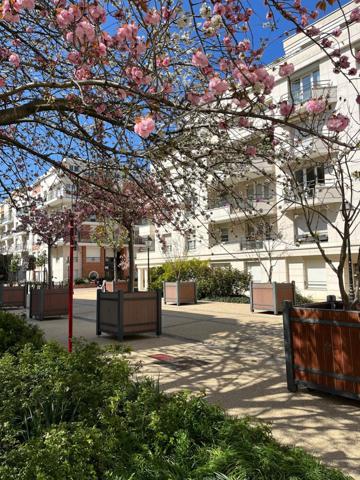 RUE PIERRE L'HOMME 65M² JARDIN, TERRASSE DE 33M², CAVE ET UN PARKING EN SOUS-SOL.