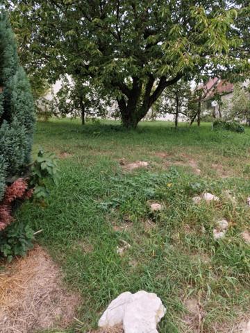 Maison + Grange + terrain constructible