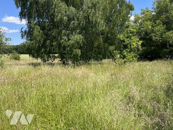 Maison à vendre Thimert-Gâtelles