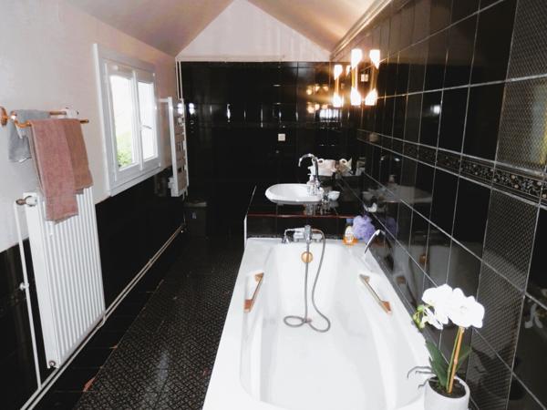 Demeure sur 1 hectare avec beau bâtiment (chevaux, entreprise, perma.)