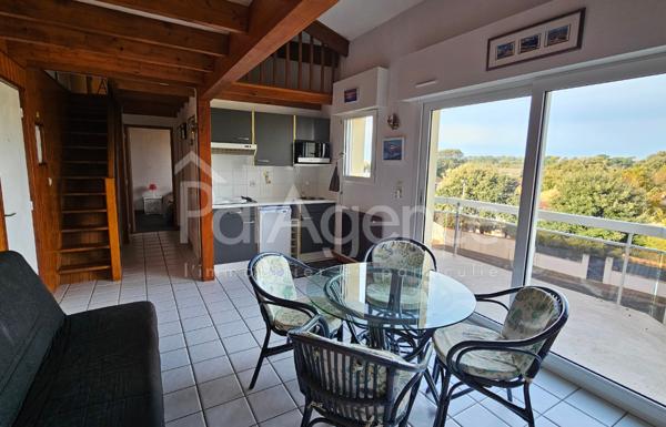 Appartement T3 Terrasse vue mer