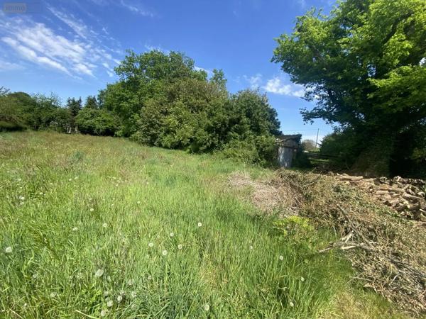 Achat - Terrain à bâtir Languidic 56440 1000 m 2