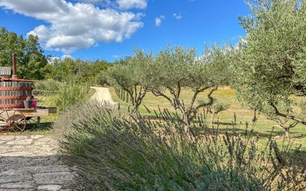 Maison à vendre    15 pièces •  Barjac