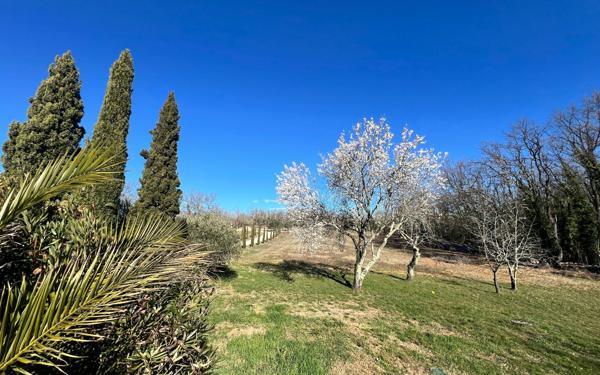 Maison à vendre    15 pièces •  Barjac