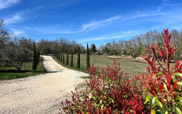 Maison à vendre    15 pièces •  Barjac