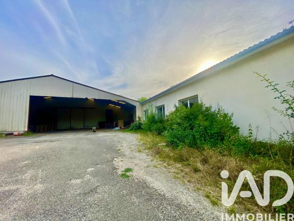 Maison à vendre 7 pièces 315 m² Nérac