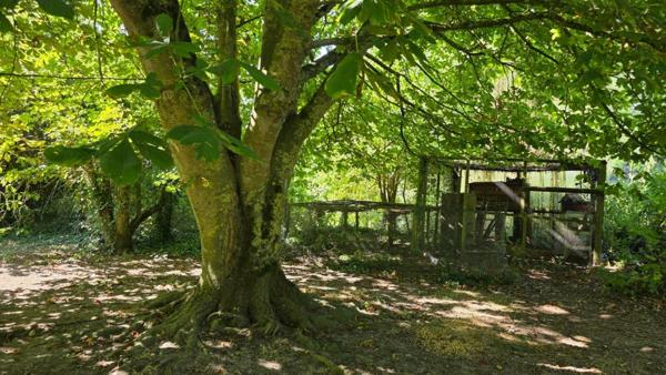 Un havre de paix au cœur de la campagne