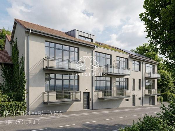 Entrepot à diviser pour habitation avec extérieur et vue