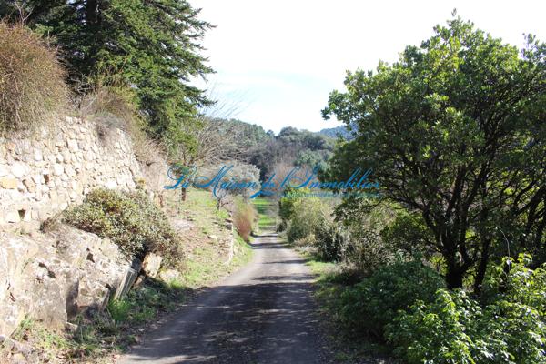 St Jean du Gard, maison cévenole en pierres F6 avec de terrain 6,9 hectares avec sources