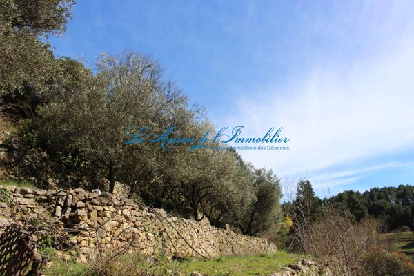 St Jean du Gard, maison cévenole en pierres F6 avec de terrain 6,9 hectares avec sources