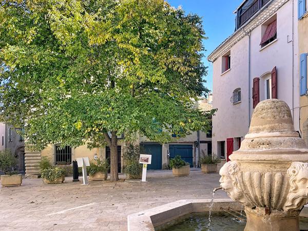 Ensemble immobilier - 3 logements possible rentabilité 3 logements