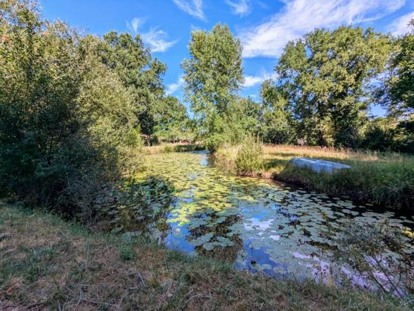 Cadre de vie paisible à deux pas du centre de Galgon