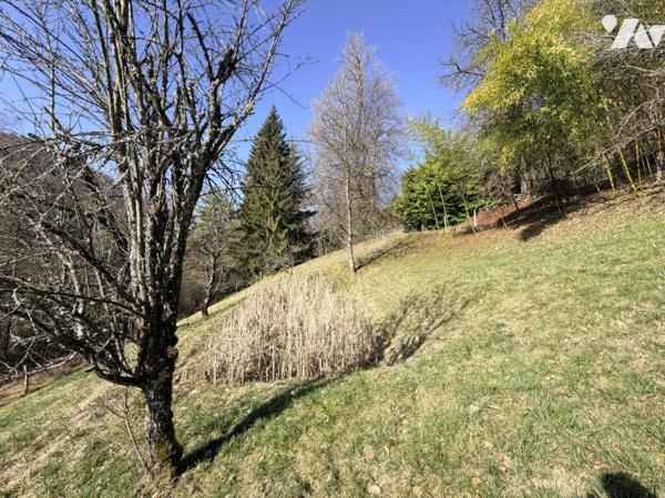 Maison individuelle - MONTANGES