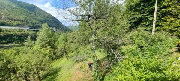 Châtillon-en-Michaille (01200) Maison avec terrain