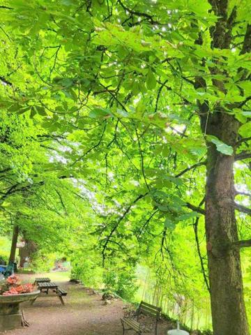 Châtillon-en-Michaille (01200) Maison avec terrain