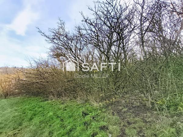 Bel emplacement accessible en voiture