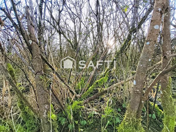 Bel emplacement accessible en voiture