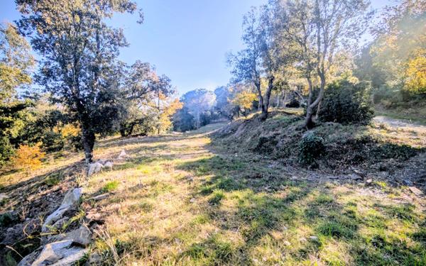 Terrain à vendre    Oms