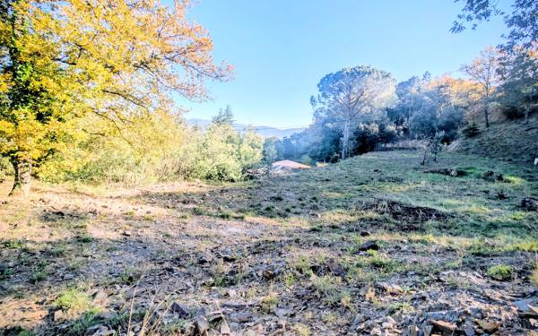 Terrain à vendre    Oms