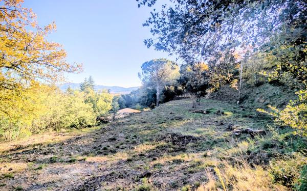 Terrain à vendre    Oms