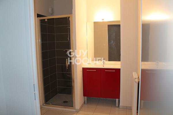 Appartement T2 43m2 terrasse et parking - Secteur BALMA GRAMMONT