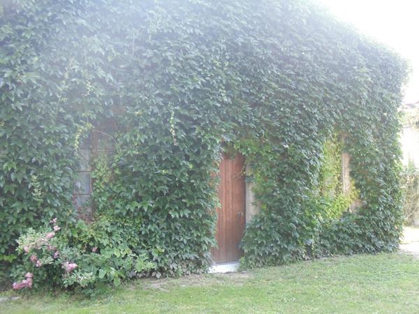 Maison MONTAUBAN Année 30 5 pièce(s) 156 m2