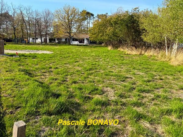 HOURTIN  - TERRAIN VIABILISÉ 773m2  LIBRE CONSTRUCTEUR